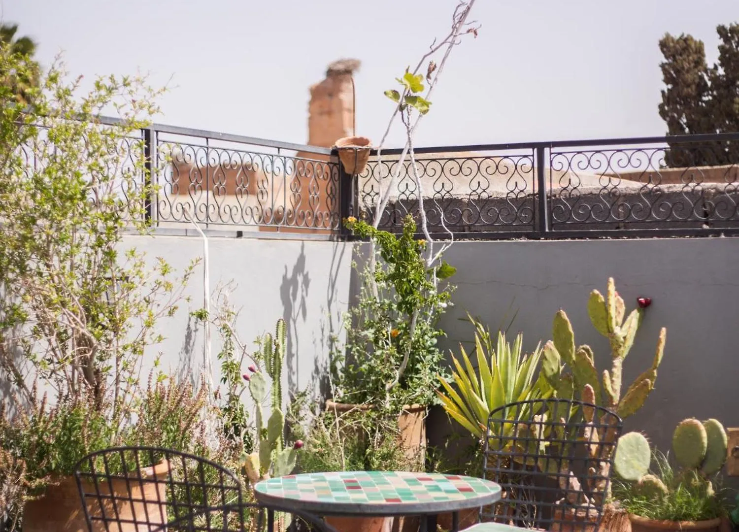 Riad Le Petit Joyau Marrakesh