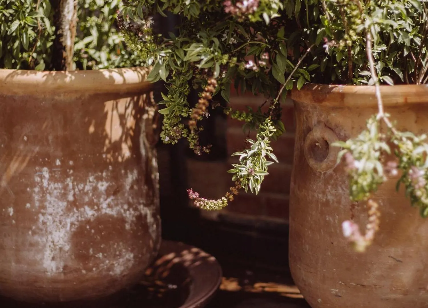 Riad Le Petit Joyau Марракеш